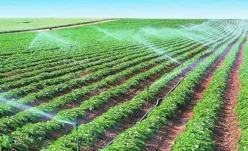 美鲍骚逼视频农田高 效节水灌溉